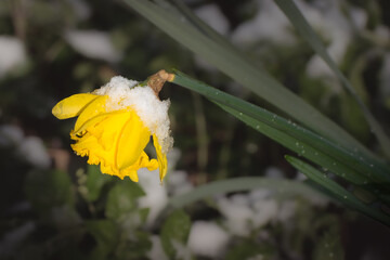 Oplev en aften med kammermusik i Esbjerg