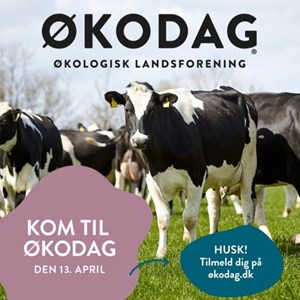 Opslagsbillede