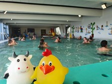 Baby Aqua er tilbage i Herning Svømmehal
