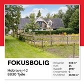 Home Hobro fremviser drømmebolig i naturskønne Tjele