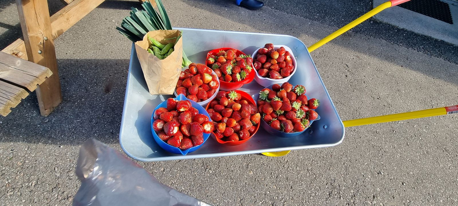 Hold trit med lokalområdet: Nyt fra Sæby