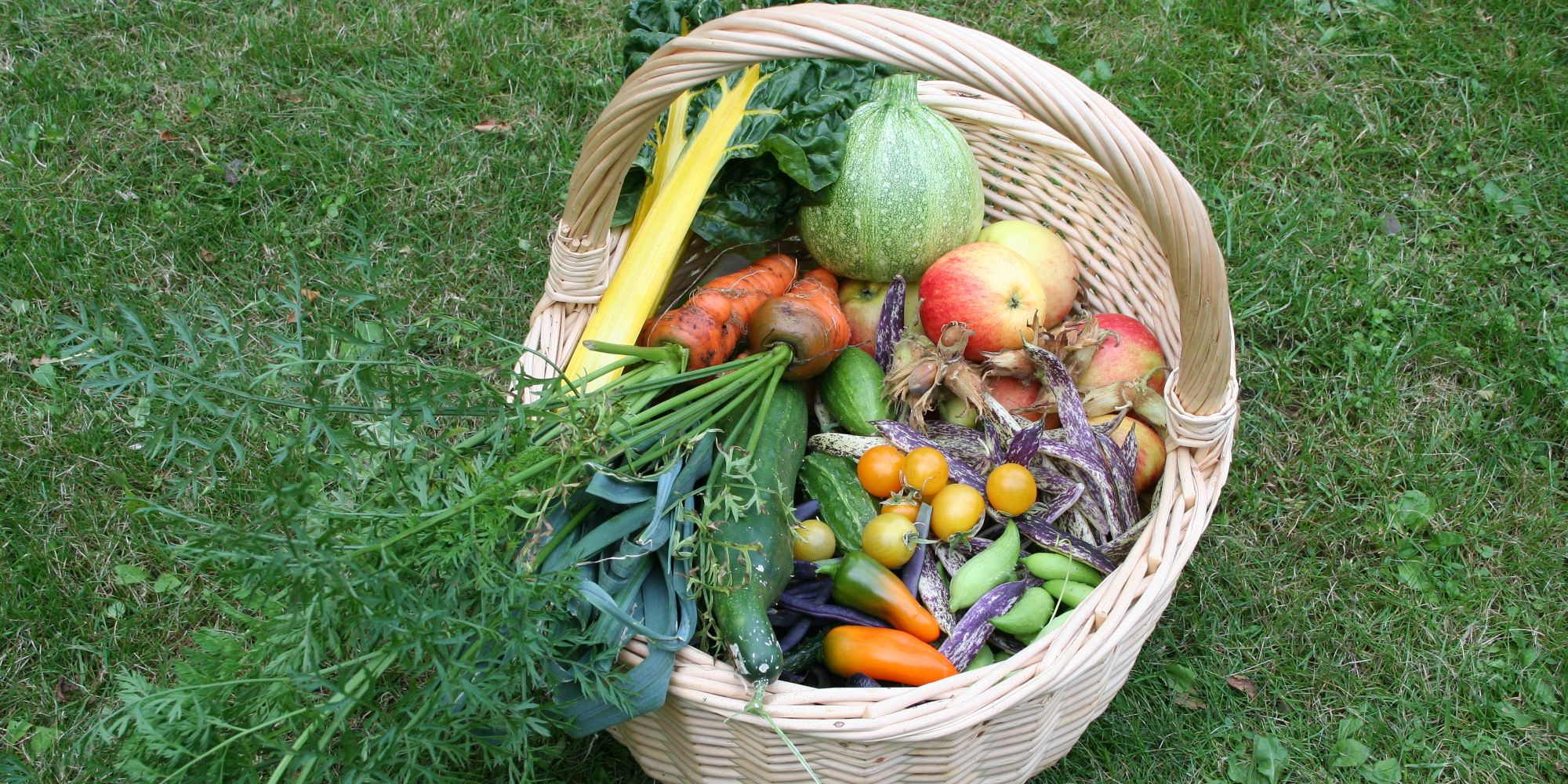 Fra jord til bord: Workshop i Holbæk om spiselige haver