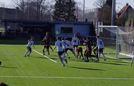 Young Boys inde i top seks-varmen