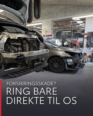 opslagsbillede