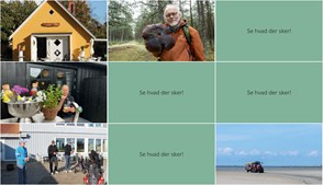 Spændende weekendaktiviteter på Læsø: Tang, svampe og musikalsk stemning