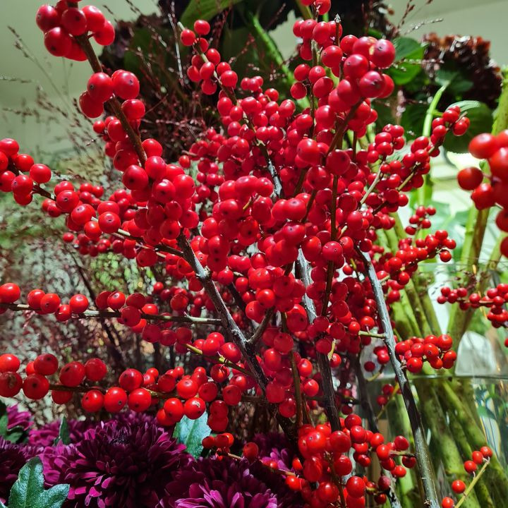 Hold dig ajour med dagens opdateringer fra Fredericia