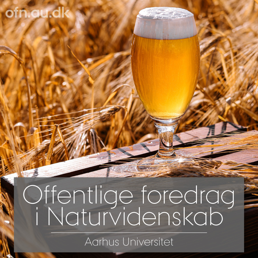 Videnskaben bag øl: Foredrag på Sorø Bibliotek