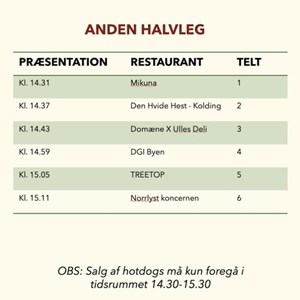 opslagsbillede