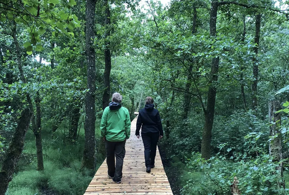 Naturpark Sønder Lem Vig bliver en del af Danske Naturparker med stærk lokal opbakning og fokus på unikke naturoplevelser