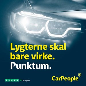 opslagsbillede