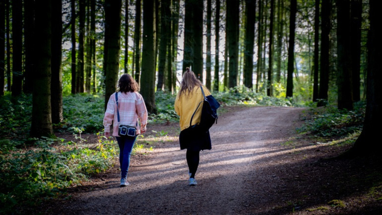 Silkeborg får 800.000 til at udvikle nye stier og spor