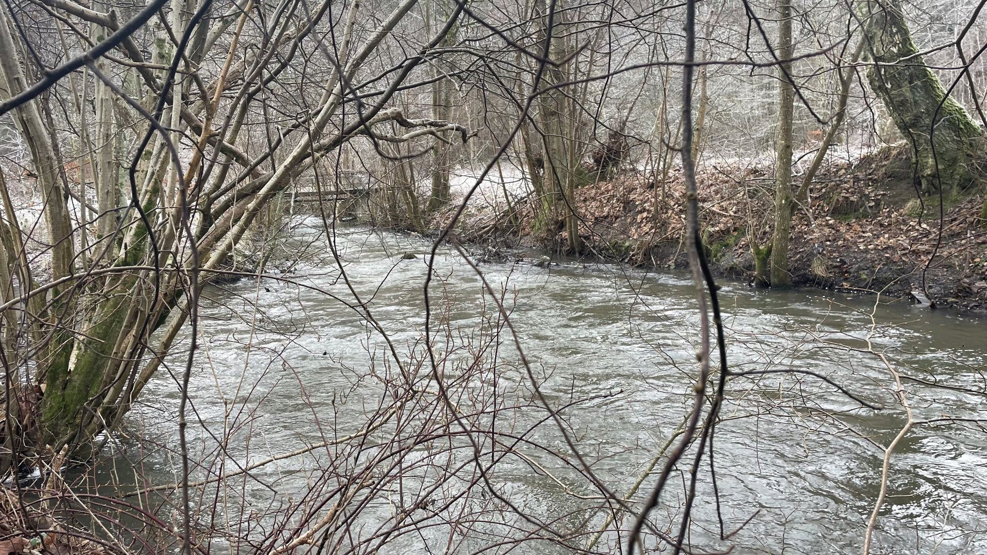 Luksusbolig netop kommet til salg i Hørning: Se hvad du skal smide for Hørnings dyreste adresser her