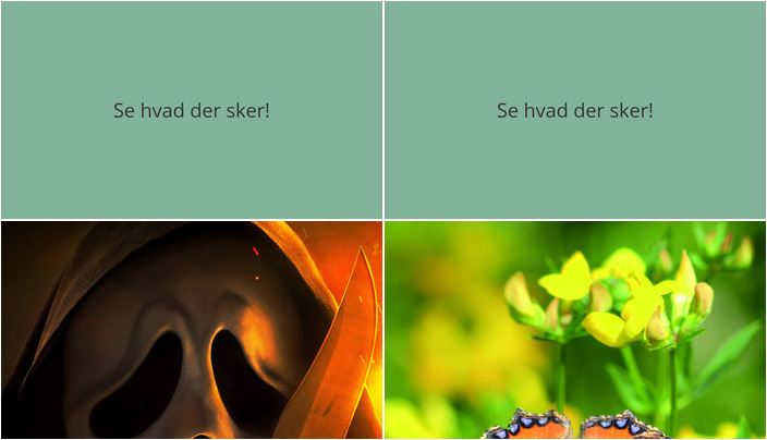 Oplevelser i Lynge denne weekend: Gyserfilm og naturfotografi