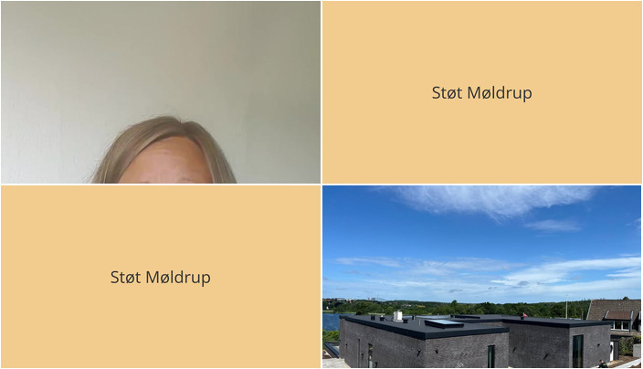 Nyt fra Ung i Balance og Møldrup Tagdækning ApS