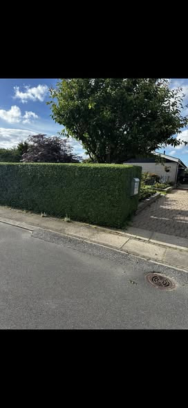 RO Enterprise tilbyder hjælp til forårsforberedelse i haven