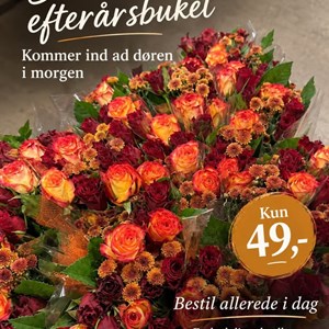 Opslagsbillede