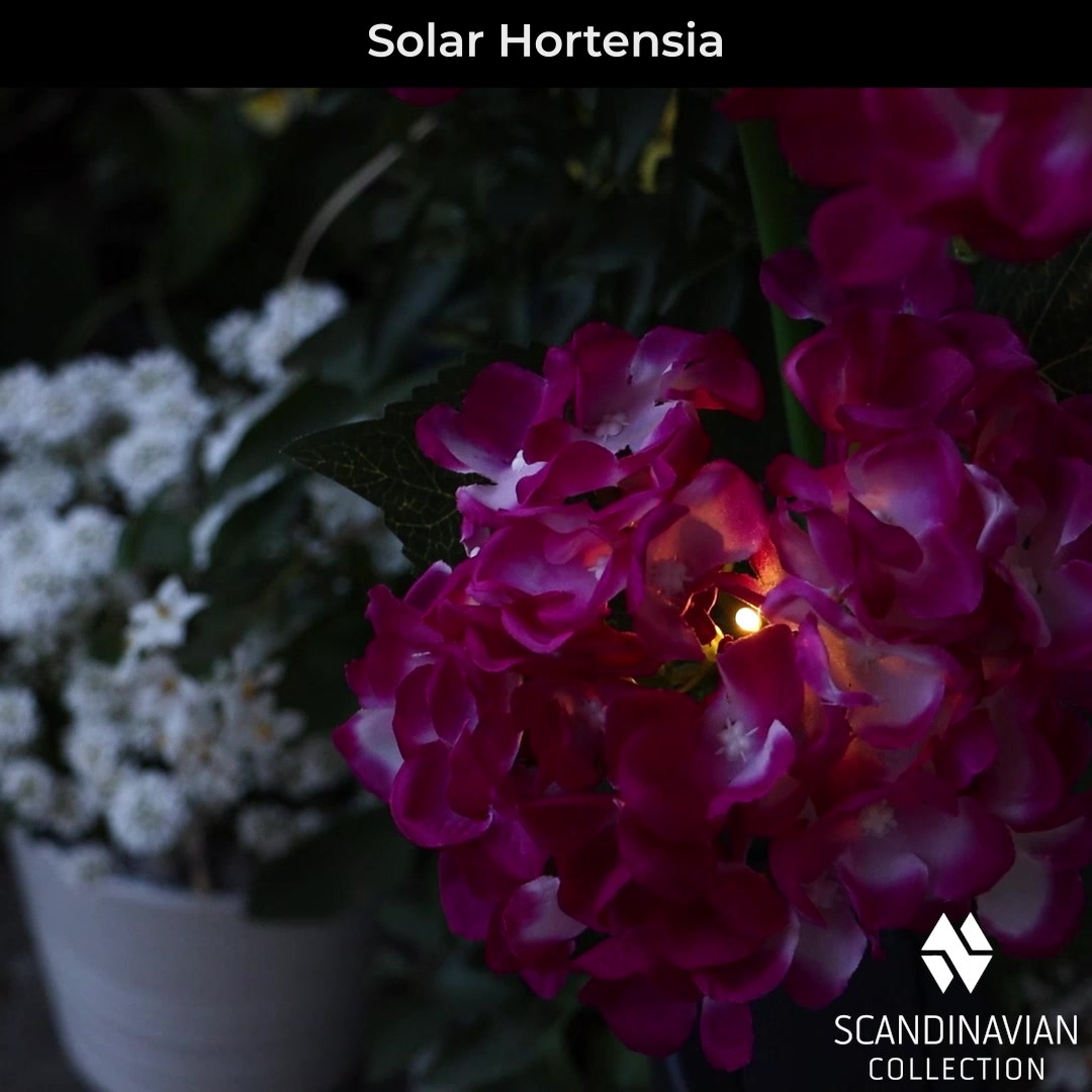 Opdatér dig her: Det nyeste fra Frederikshavn