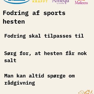 Opslagsbillede