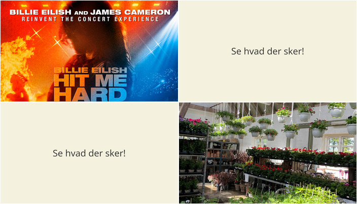 Oplev Aalestrup denne weekend: Koncertfilm og blomster