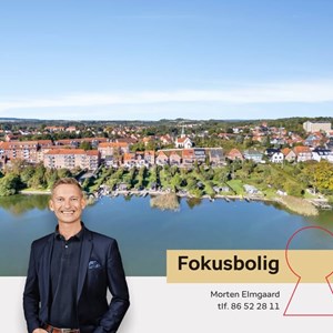 Opslagsbillede
