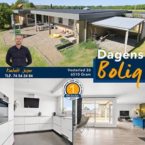 Opslagsbillede