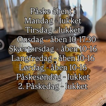 Opslagsbillede