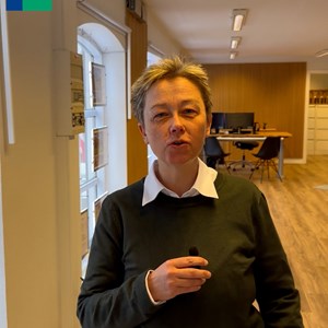 Opslagsbillede
