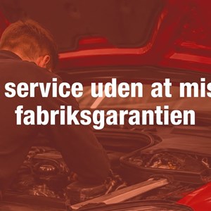 Opslagsbillede