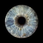 Relationshuset Hvass deltager i kreativ aften med fotograf Anita Toft