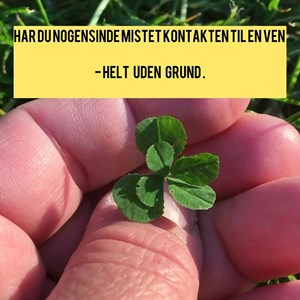 opslagsbillede