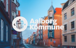 Brandramt skole i Aalborg nedrives i to etaper for at sikre området