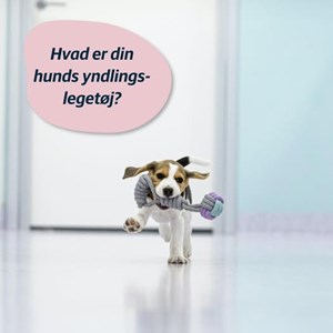 opslagsbillede