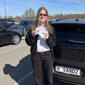 Opslagsbillede