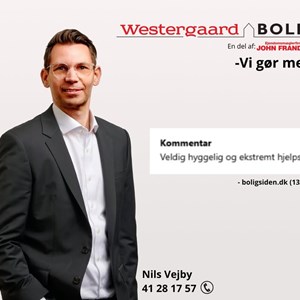 Opslagsbillede