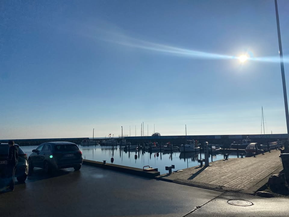 Havnens Fisk Øster Hurup søger sommerpersonale til travl sæson