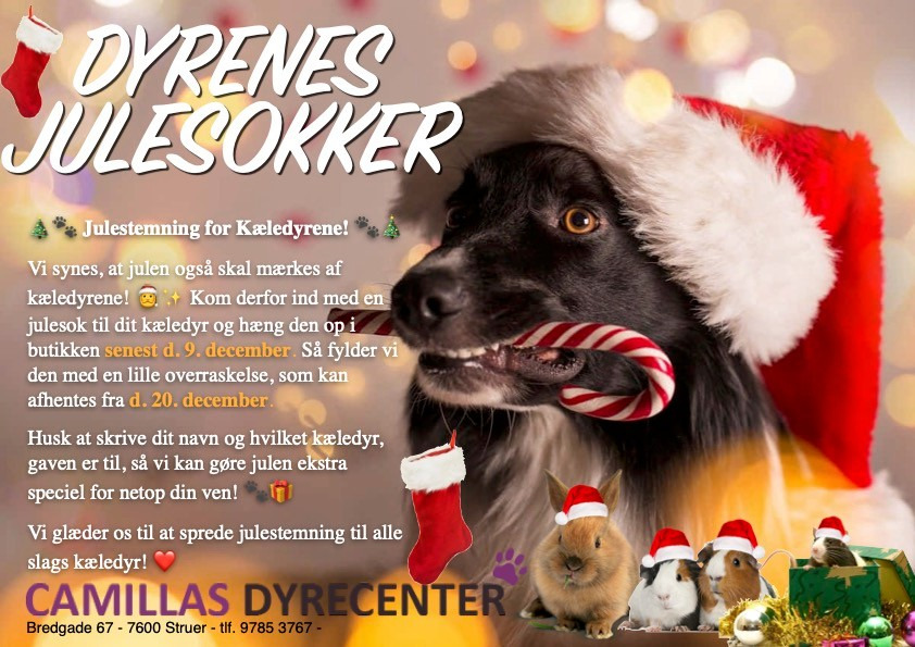 Julesok klar til overraskelser hos Camillas Dyrecenter