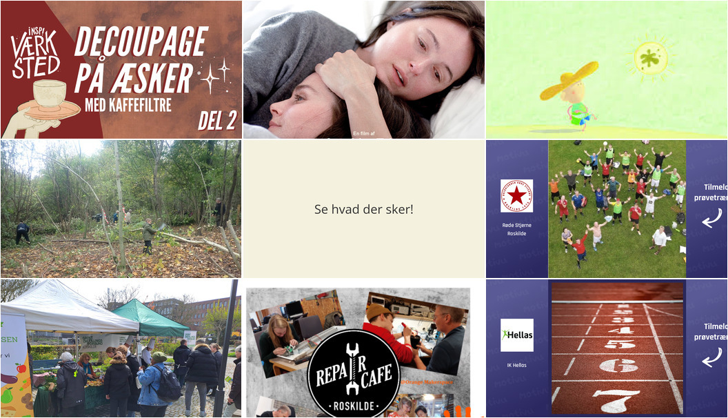 Begivenheder i Roskilde denne weekend: Kreativitet, film og natur