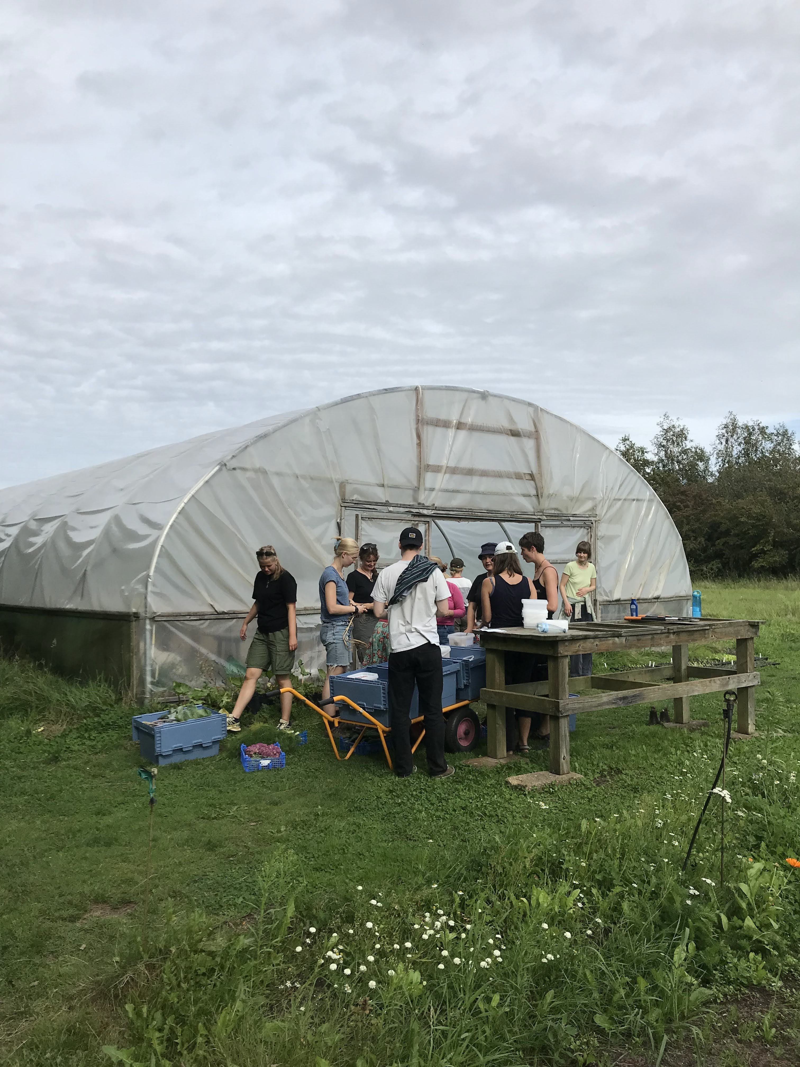 Jyske højskoler skal eksperimentere med jordbrug og naturterapi
