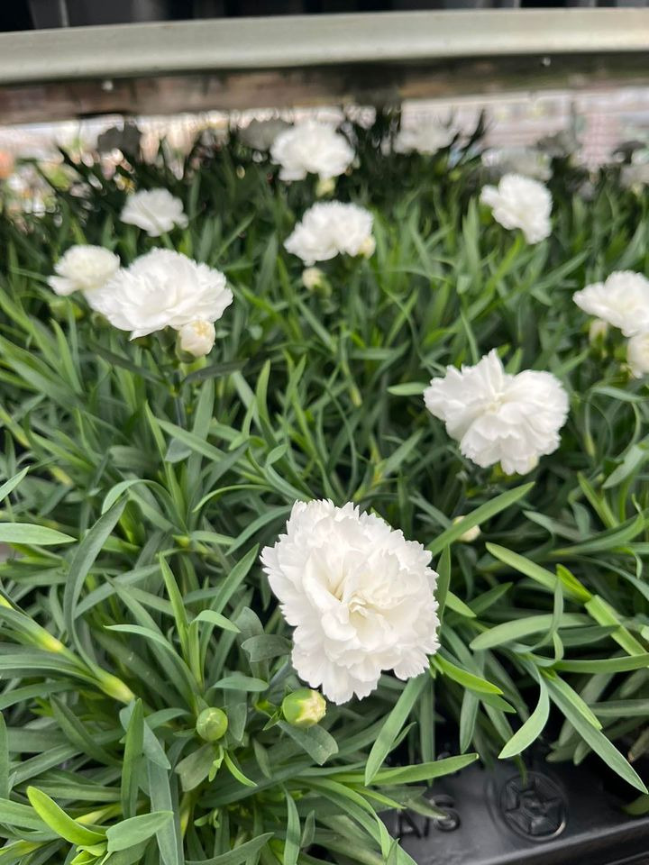 Opslagstavlen: Nyeste opdateringer fra Odder