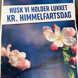 Opslagsbillede