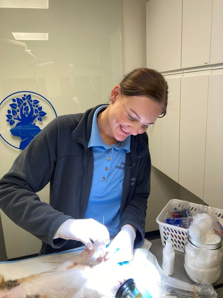 Hold dig ajour med dagens opdateringer fra Risskov