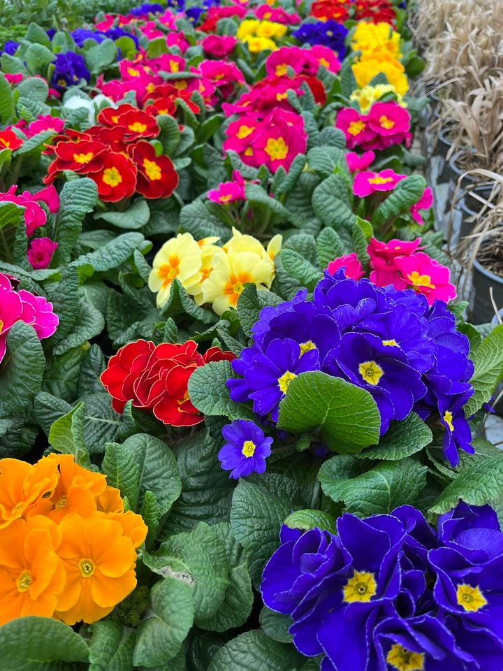 Hold trit med lokalområdet: Nyt fra Horsens