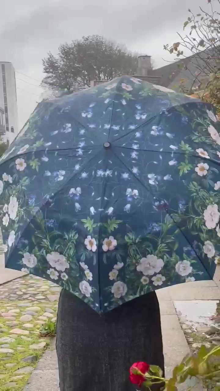 Opdatér dig her: Det nyeste fra Hjørring