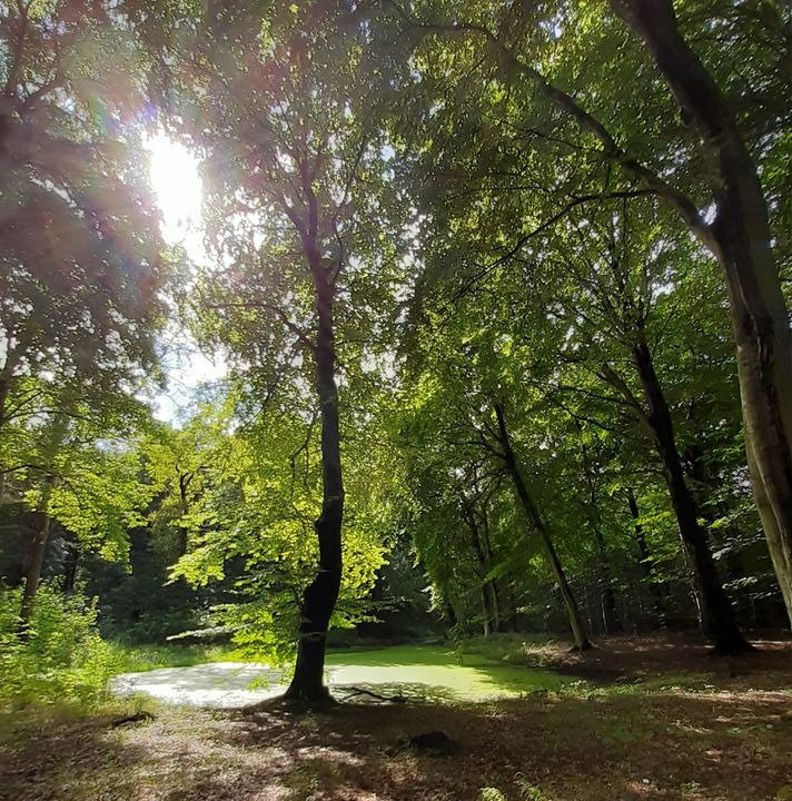 Se dagens updates fra Hammel her