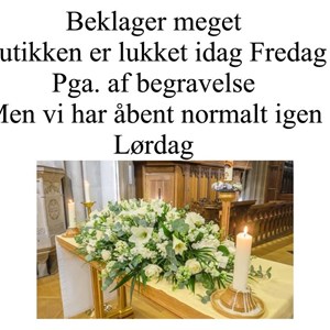 opslagsbillede