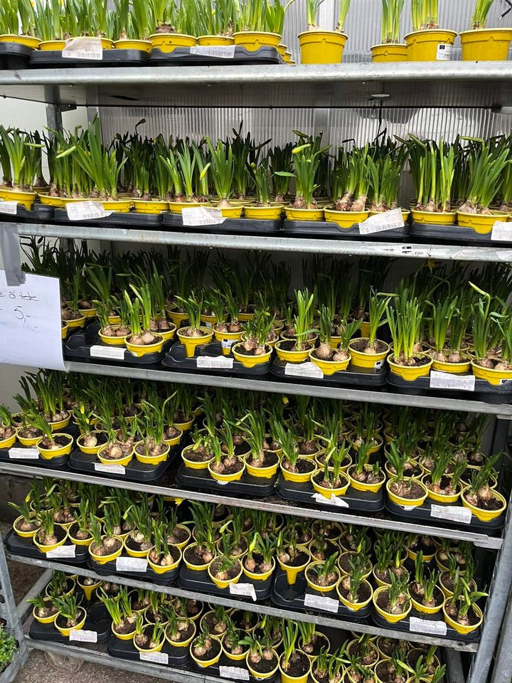 Hold trit med lokalområdet: Nyt fra Odder