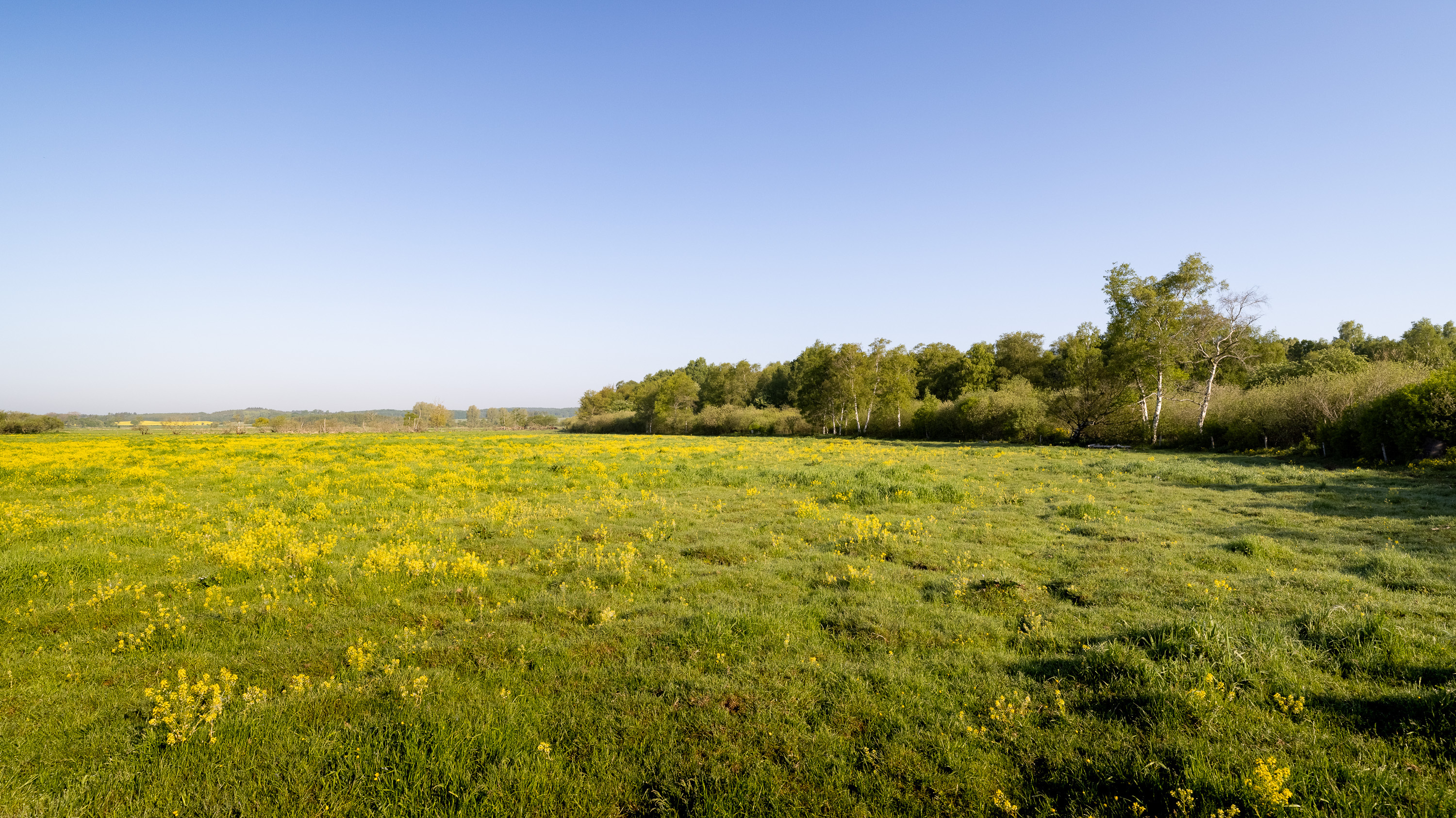Sjællandsk mose genopstår til gavn for natur og klima