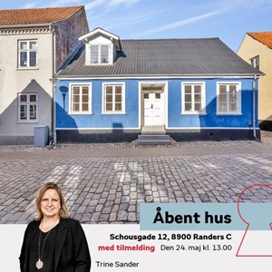 Opslagsbillede