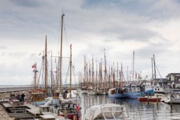 Limfjorden rundt