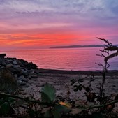 Iris Blomster: Strandens morgenmagi inspirerer årets juletema